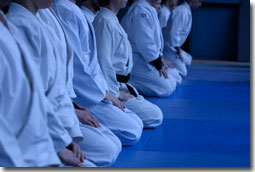 Aikido Training