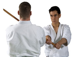 Regular and Advanced Classes 