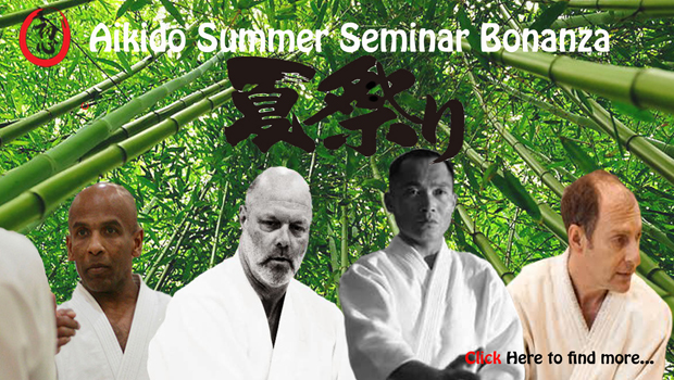 Aikido Summer Seminar Bonanza