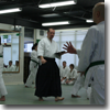 Aikido Yoshinkan Syllabus